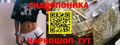 гашик Краснодар